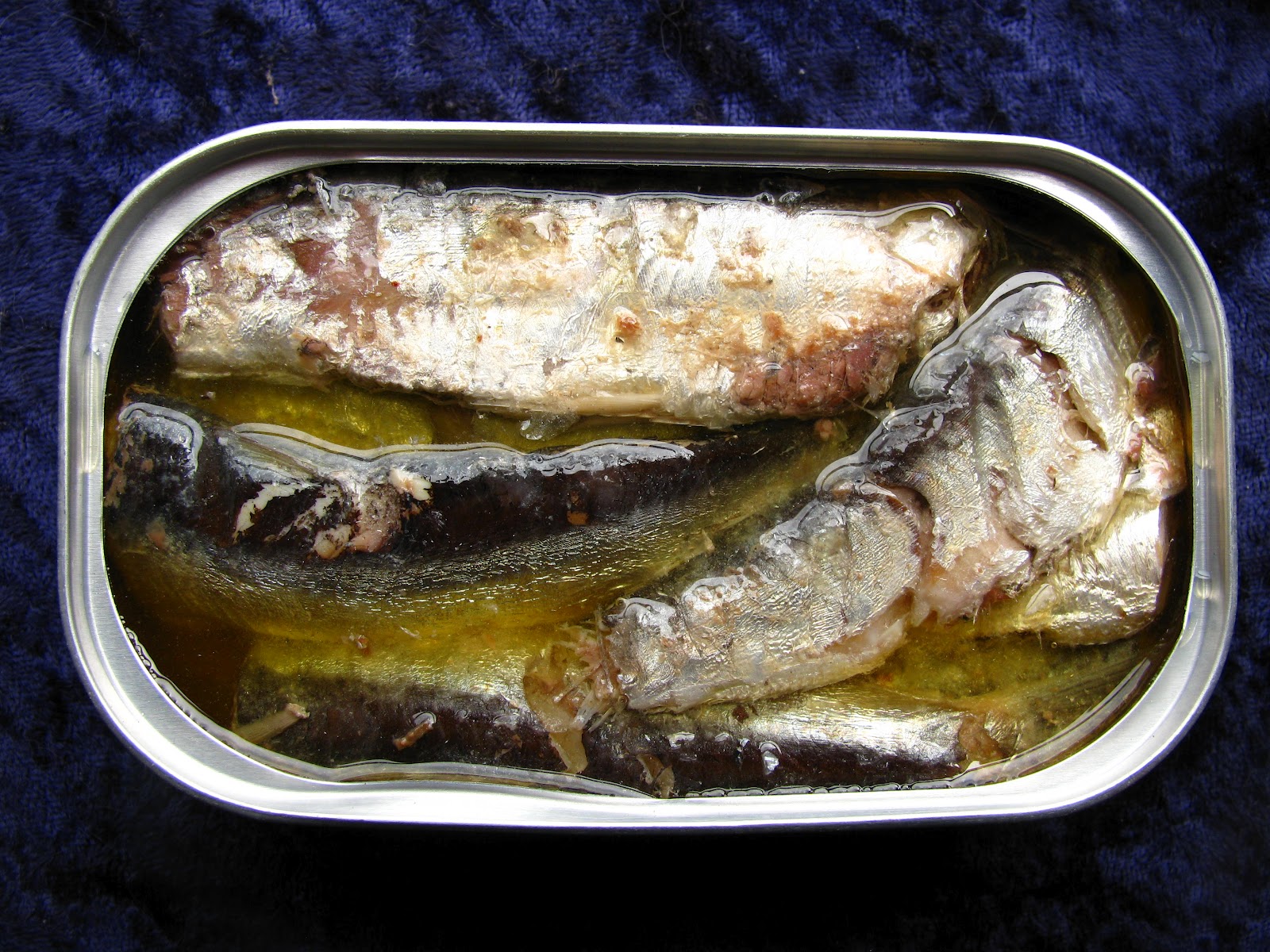 Mouth Full of Sardines June 2012