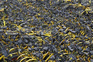Millions of abandoned bicycles in China from ruined startups speculating on new bikes.