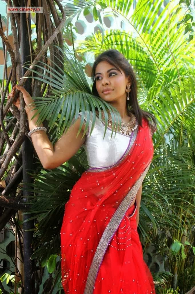 Actress Sri lekha Reddy Stills in Red Saree Navel Queens Actress Sri lekha Reddy Stills in Red Saree Navel Queens