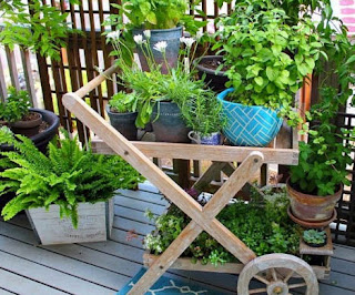 Gardening in Balconies of Small House