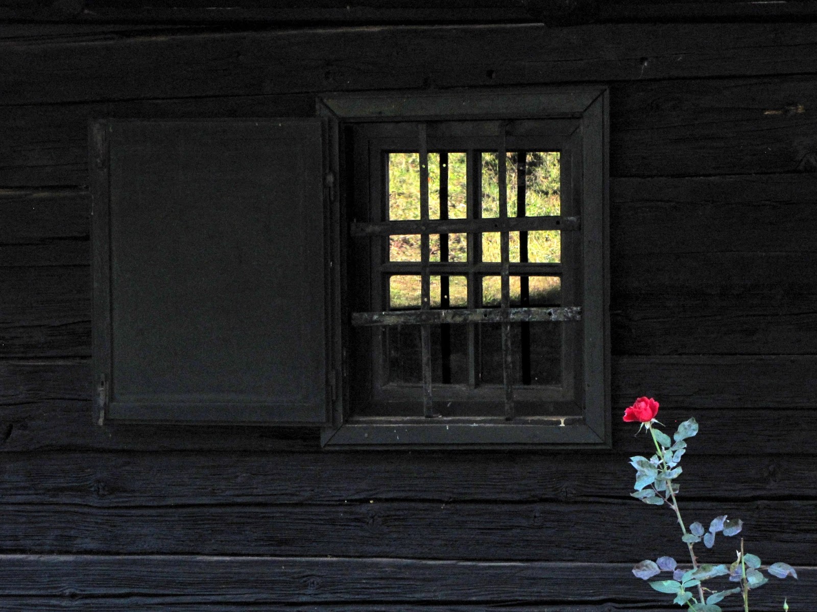 Hobby De Mamica Photo Responsabilitate Sociala Si Altele 