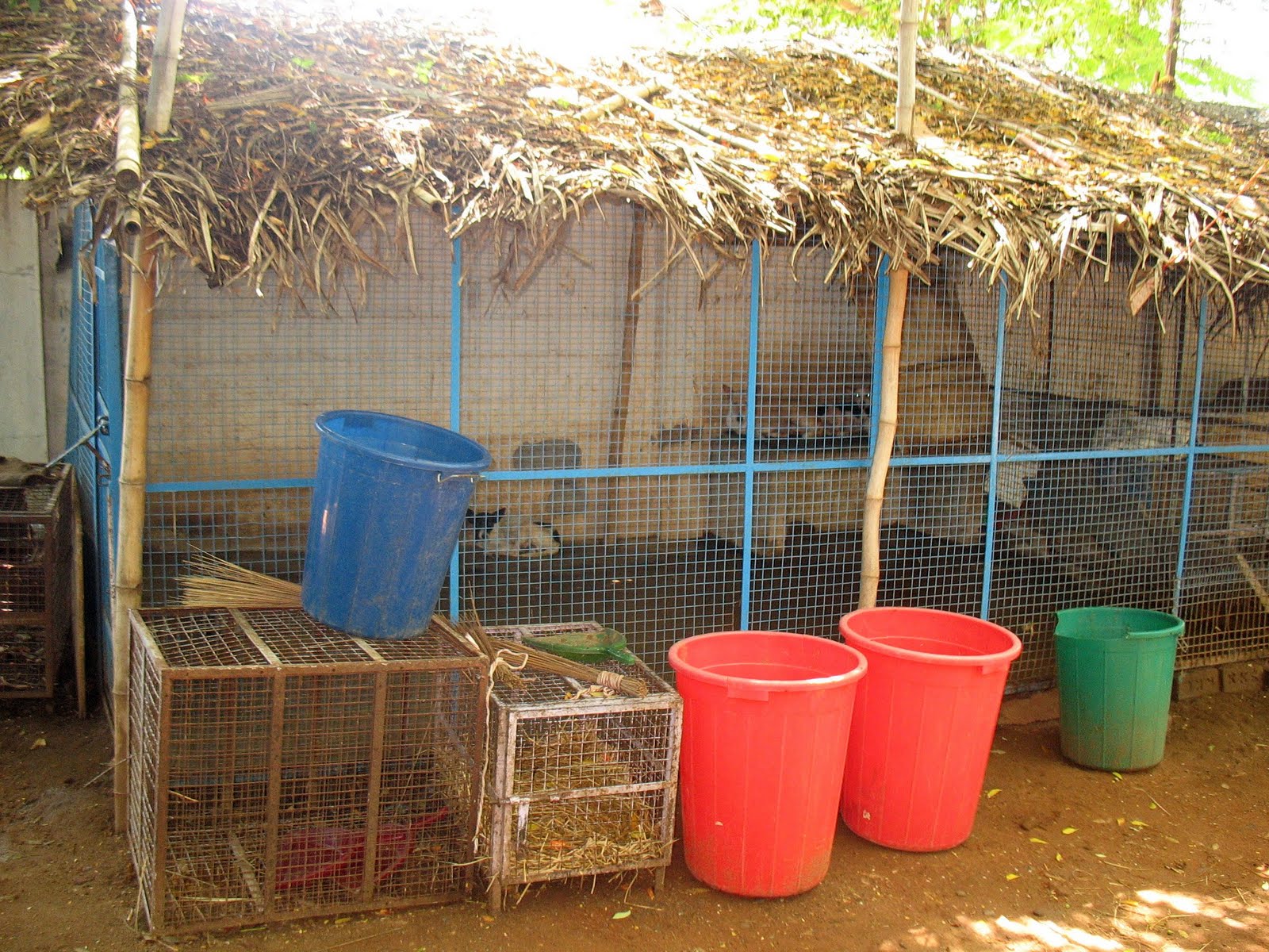 Monkey House ARUNACHALA GRACE