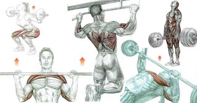Most Types of Supersets For Super Size!