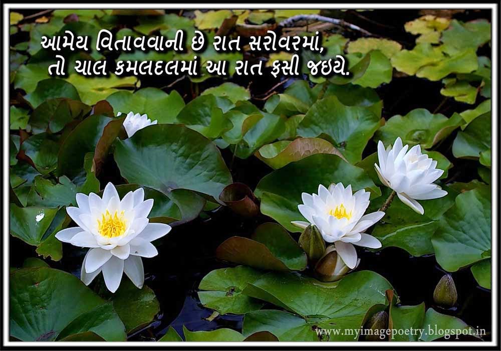 Image Poetry Gujarati Image Poetry on Flower