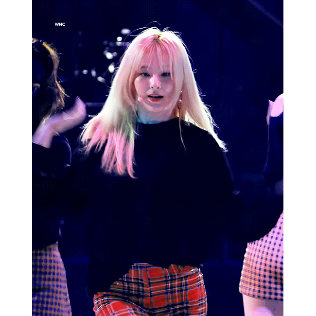 1.gif
