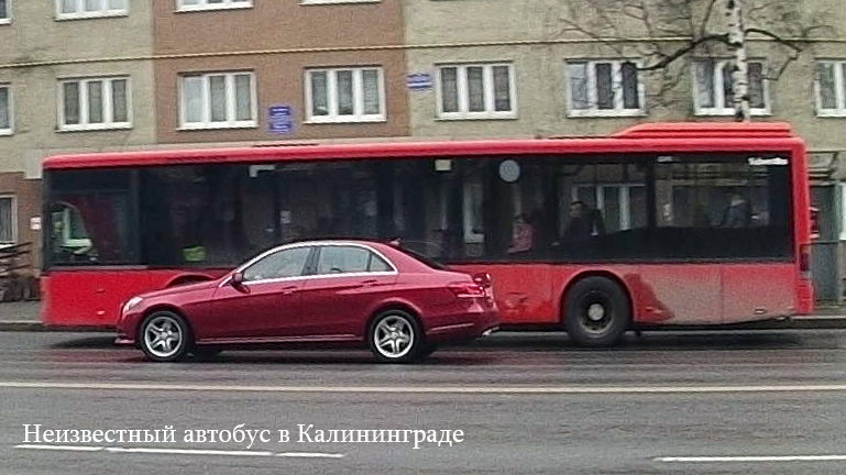 Автобус красное орехово зуево. Красный автобус Калининград. Автобусная экскурсия по Калининграду красный автобус. Покажи красные автобусы. Красные автобусы в Харькове.