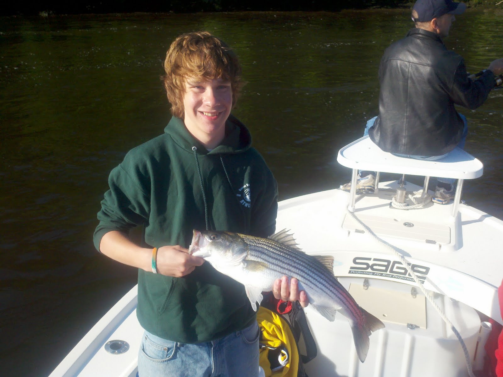 Maine Striper Fishing Charters & Reports Hotline 2076910745 Maine