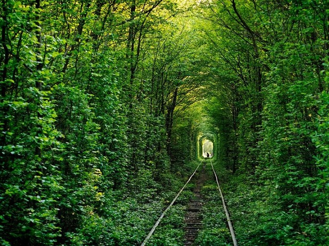 Tunnel of Love, Terowongan Cinta di Ukraina Tunnel of Love, Terowongan Cinta di Ukraina