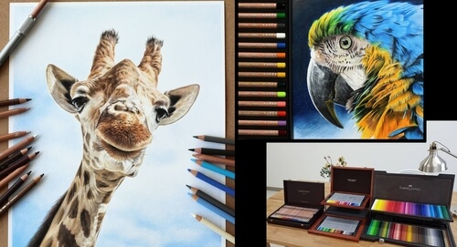 00-Jae-Kyung-Domestic-and-Wild-Animals-Pencil-Drawings-www-designstack-co