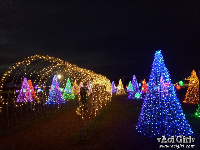 celebrate christmas with nuvali magical field of lights celebrate christmas with nuvali magical field of lights