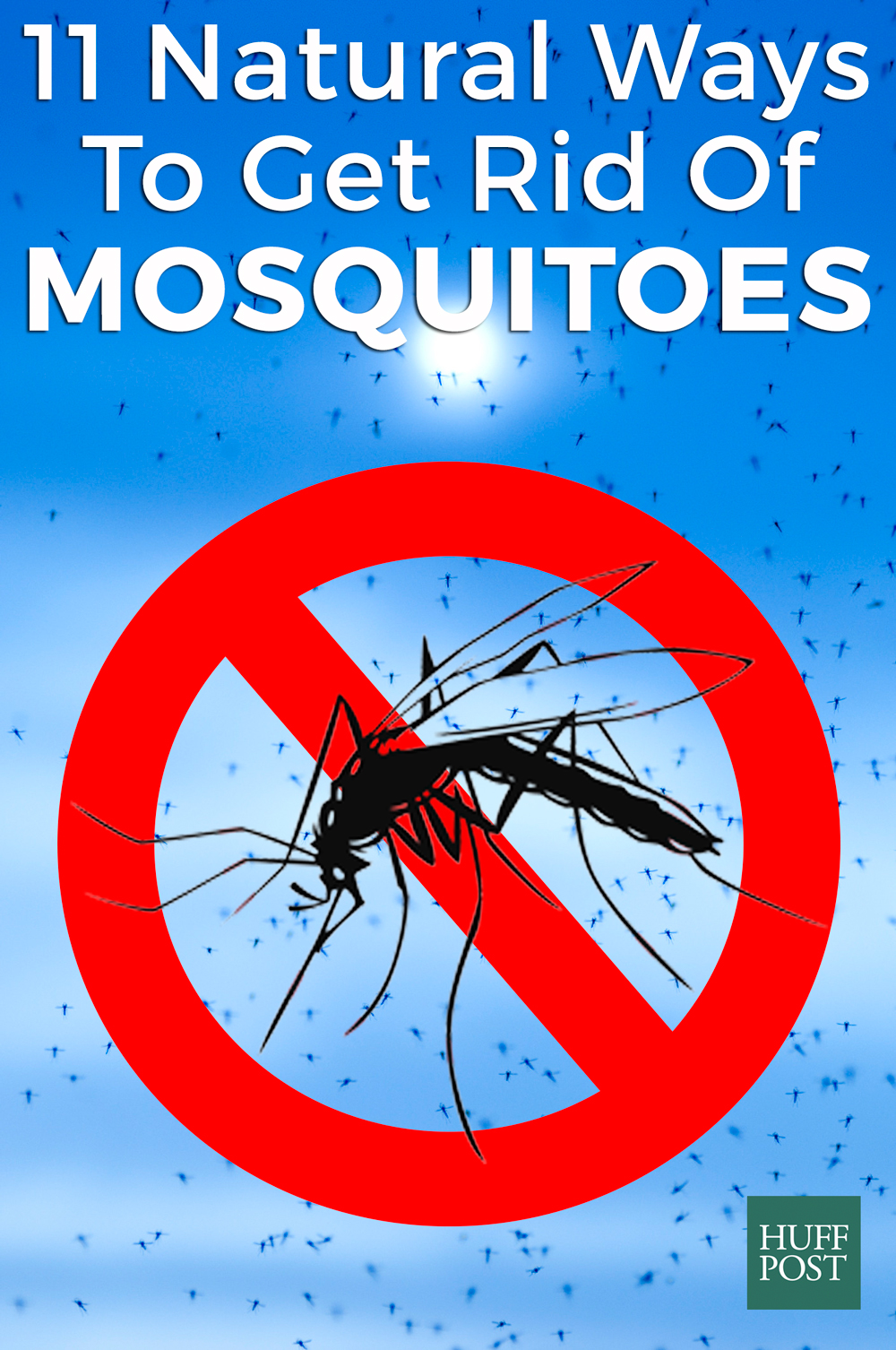 How To Get Rid Of Mosquitoes | plants that keep the mosquitoes away everything about garden How To Get Rid Of Mosquitoes | plants that keep the mosquitoes away everything about garden