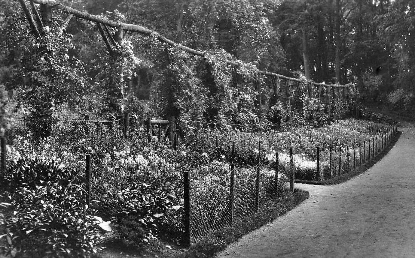 Tour Scotland Old Photograph Gardens Linn Park Glasgow Scotland