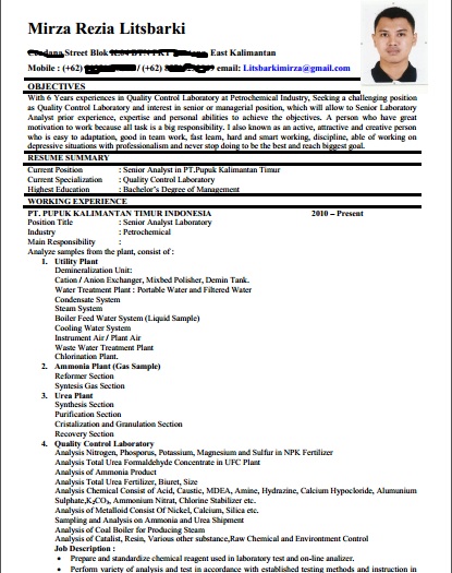 Contoh Cv Contoh Cv