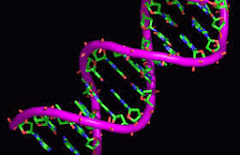 LA BIOLOGÍA MOLECULAR