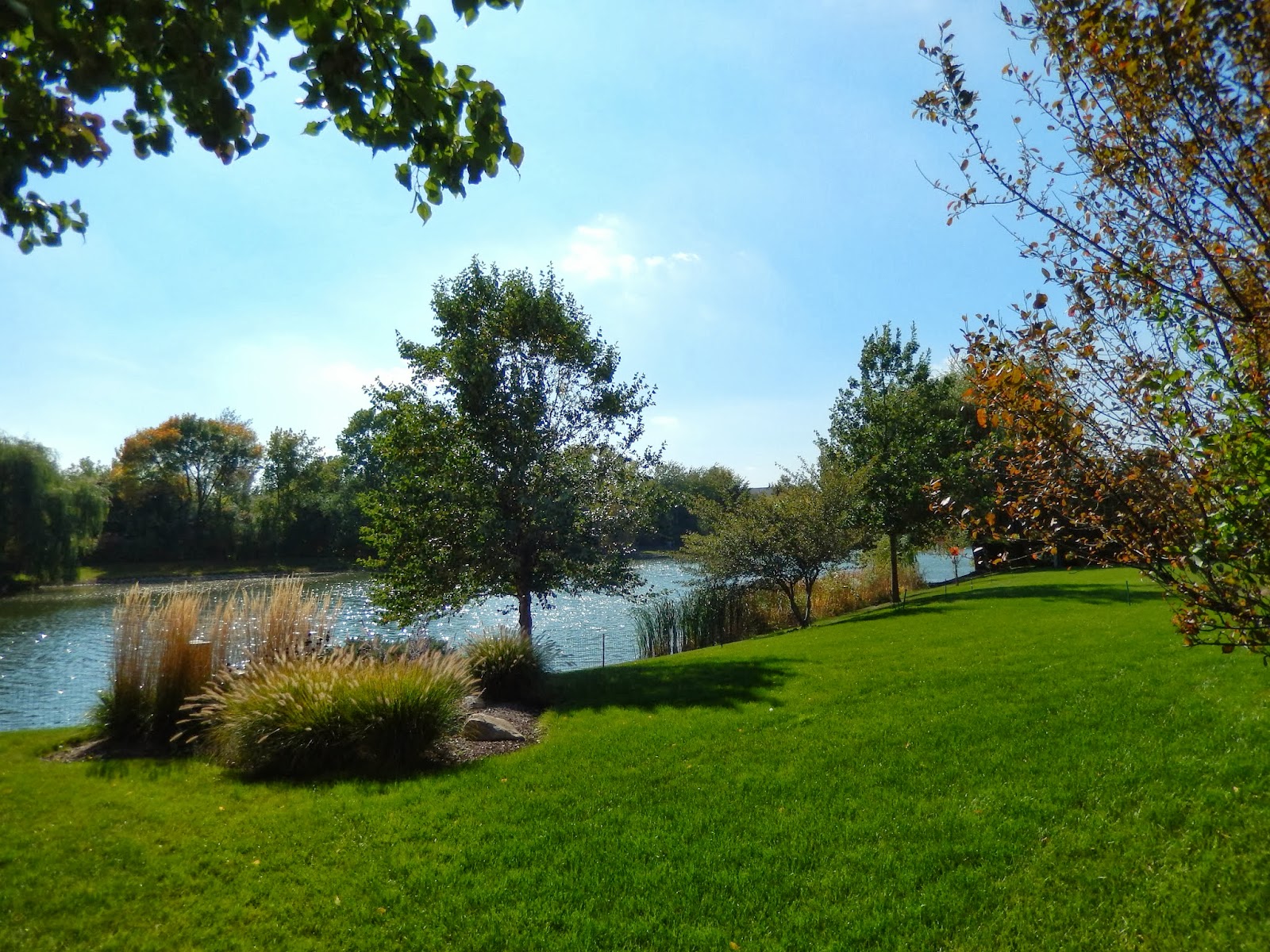 Lake Villa Lifestyle LAKE VILLA SPOTLIGHT NEIGHBORHOOD CEDAR CROSSINGS