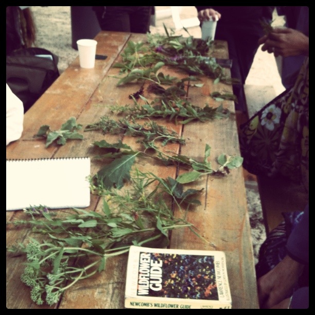 HEIRLOOM B E A U T Y The 24th New England Women's Herbal Conference