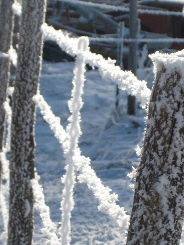 Missouri Beginning Farming Livestock Fencing Laws