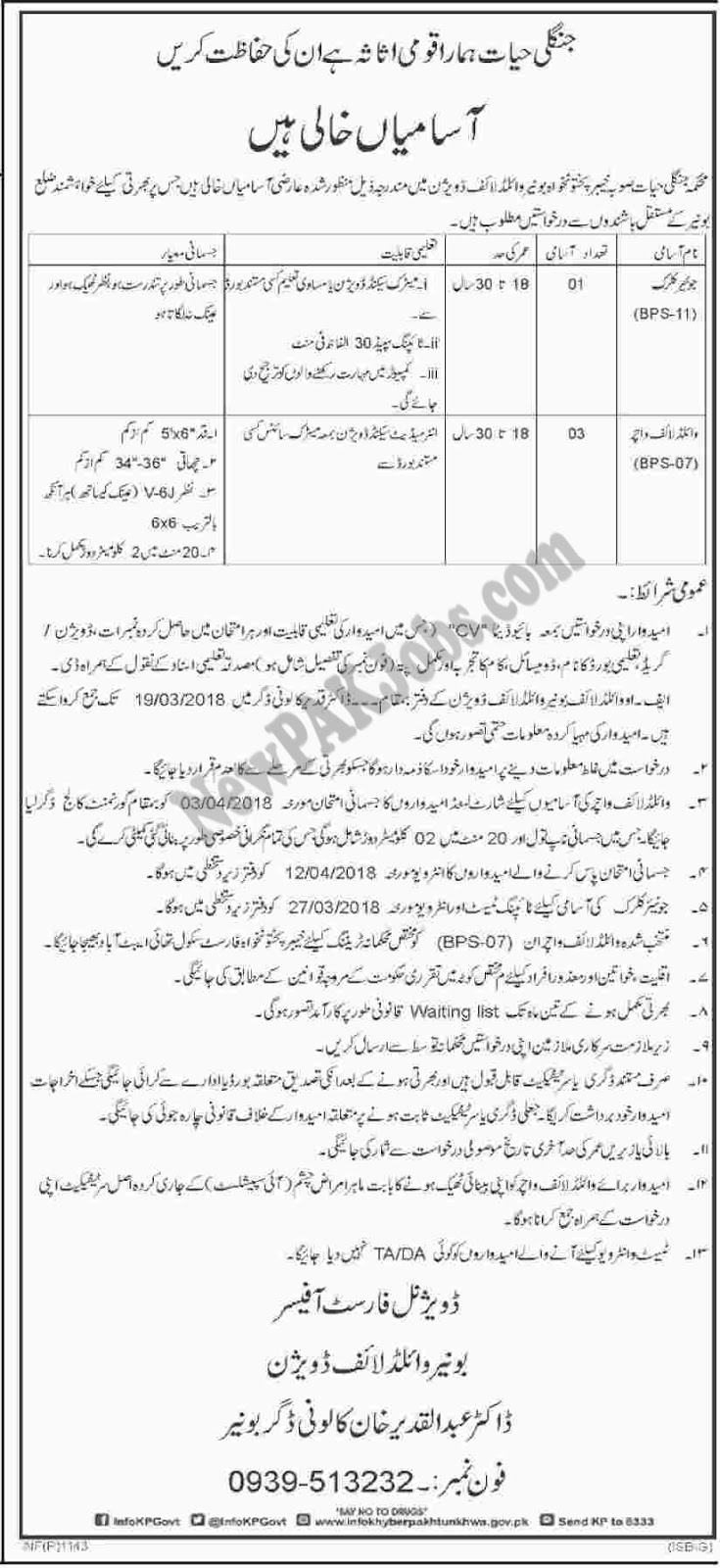 Junior Clerk, Wildlife Voucher Jobs in Wildlife Division Buner