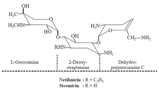 Netilmicin Synonyms 1-N-Ethylsisomicin; Sch-20569