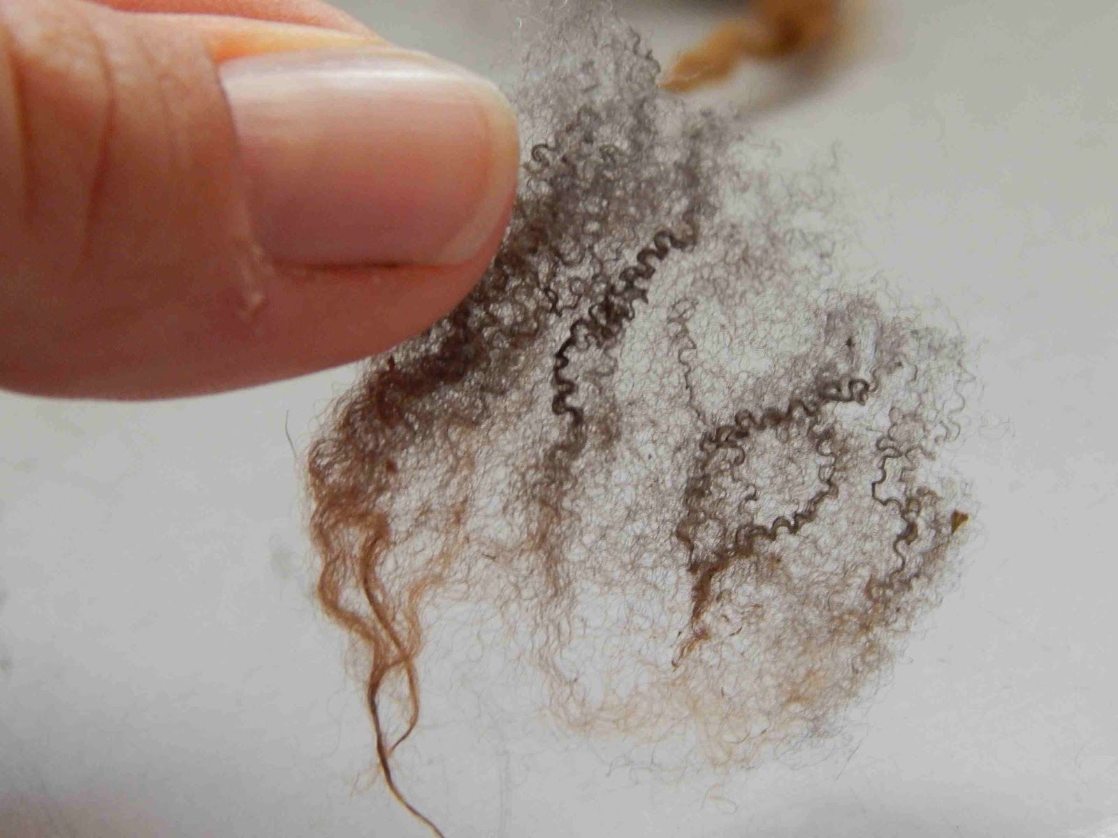 Кашемир букле. Свалять снеговика. Cotton текстура. Натуральная шерсть. Побудка гостя в гостинице.