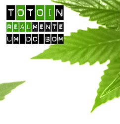CD Totoin - REALmente um do bom (2011)