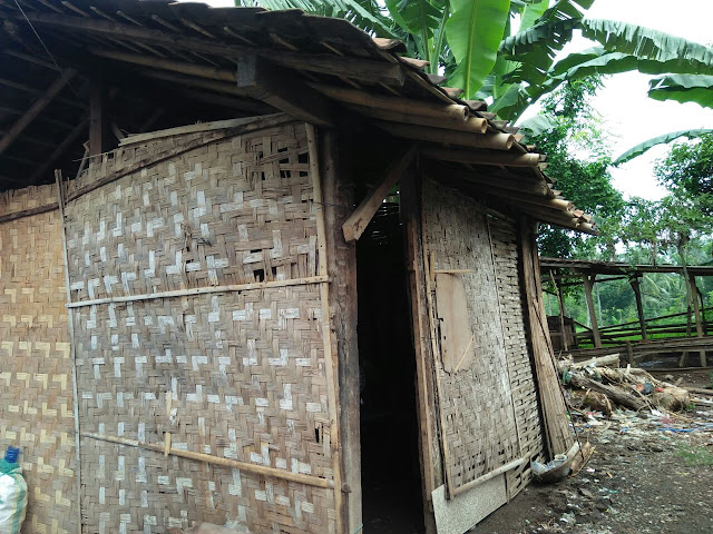 Nenek Ini Hidup Sebatang Kara Dengan Rumah Reot item-thumbnail