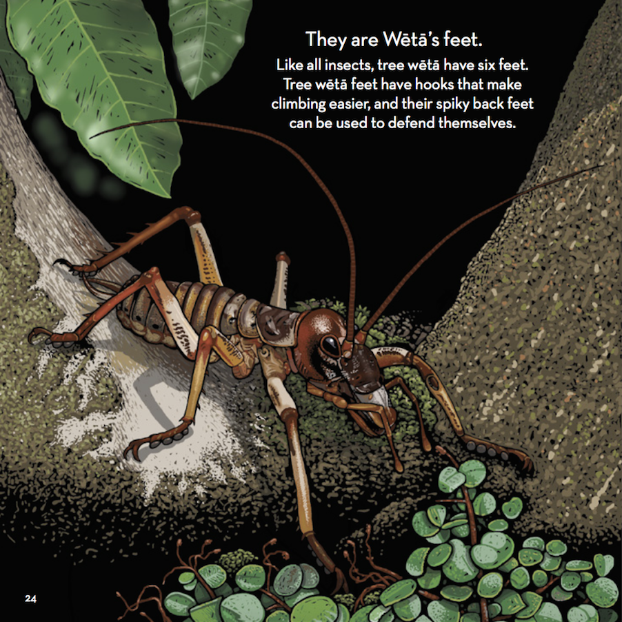 How to Make a Weta Home in Your Garden advise How to Make a Weta Home in Your Garden recommend