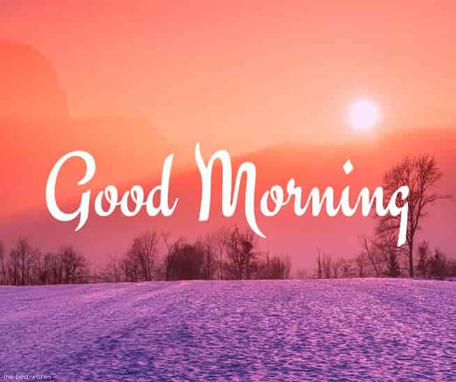 goodmorning goodmorning