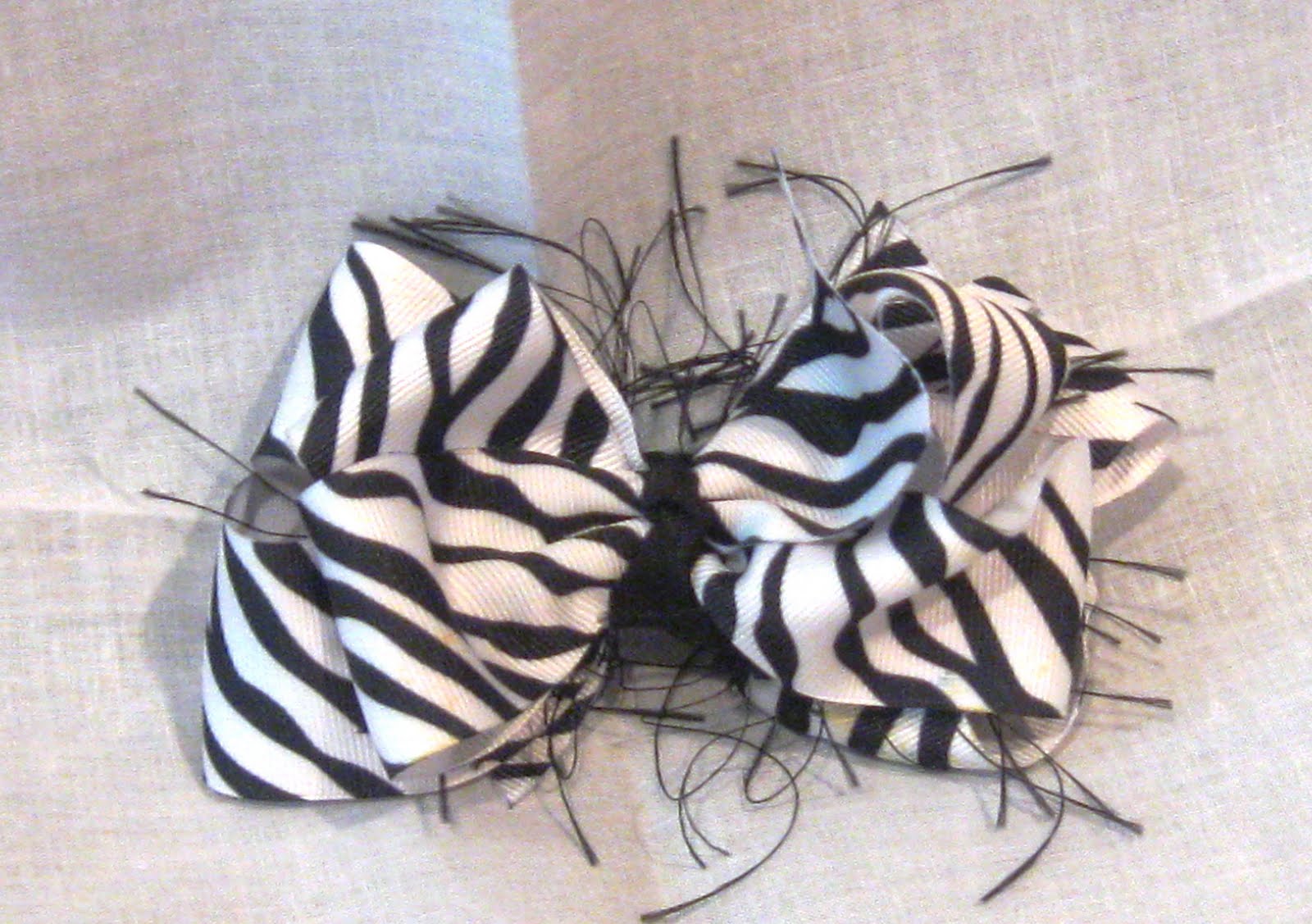 foto zebra - gambar hewan - foto zebra