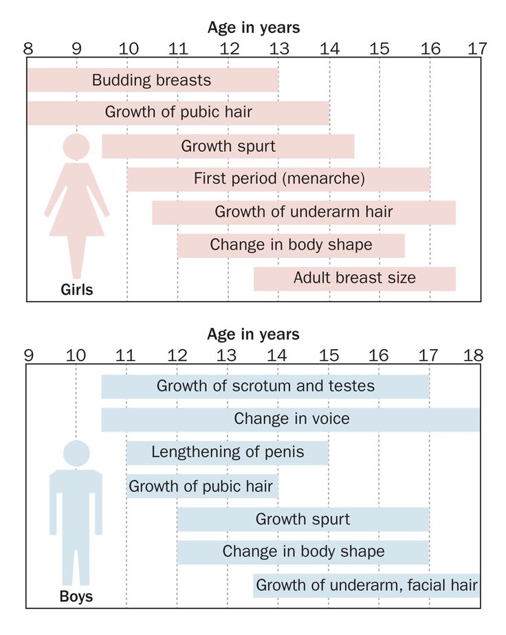 puberty stages for boys chart chart2 paketsusudomba co puberty charts