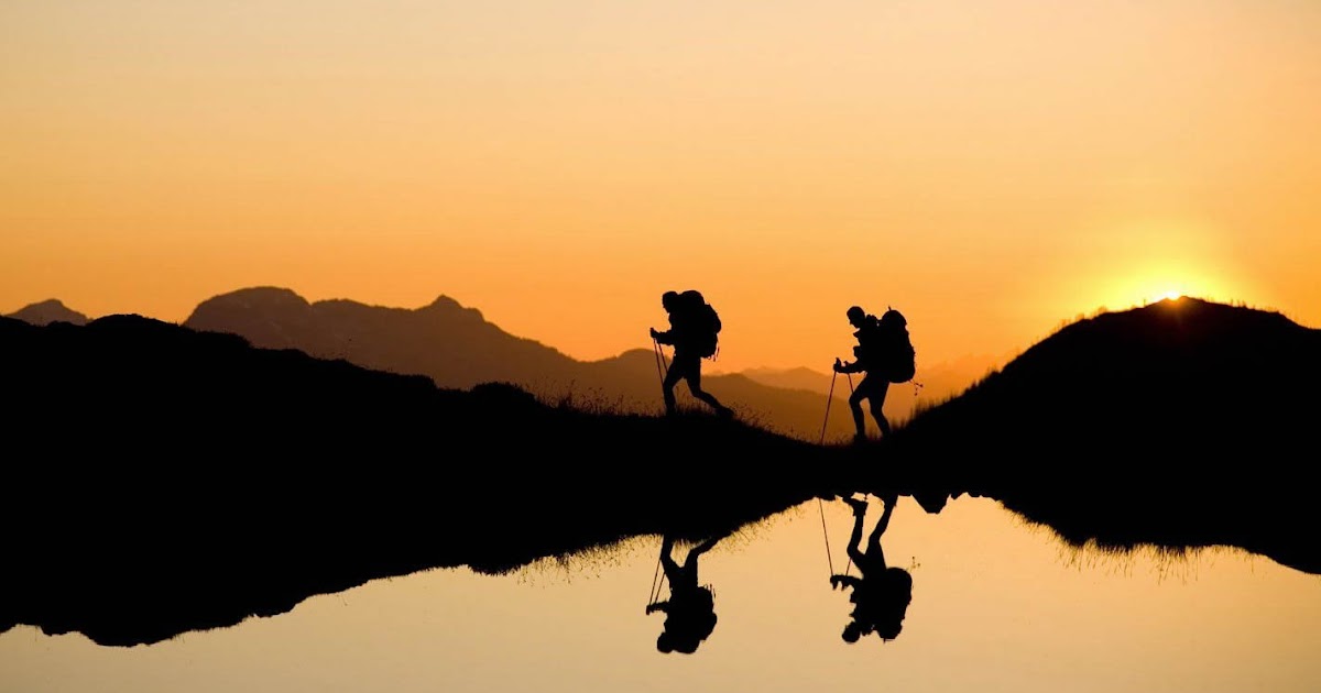 Твоя тропа. Таинственная дорога в лесу. Твоя тропа. Красивая тропинка. Одинокий путь.