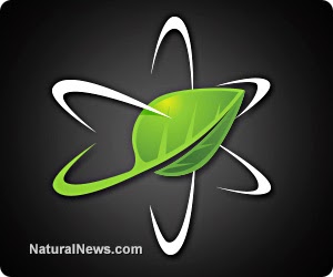 November 6, 2012 @ Natural News