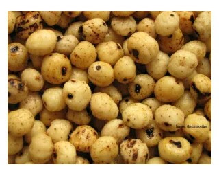 Hausa Groundnut