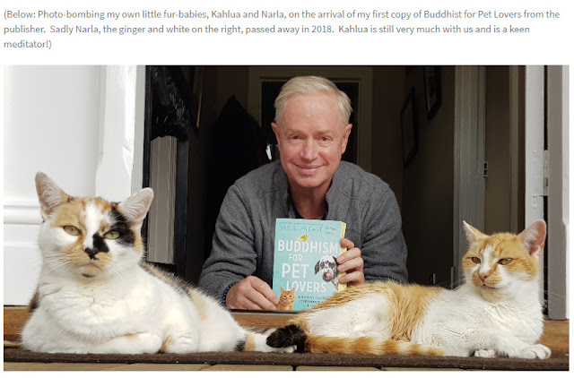 отношение буддистов к животным. Смотреть фото отношение буддистов к животным. Смотреть картинку отношение буддистов к животным. Картинка про отношение буддистов к животным. Фото отношение буддистов к животным отношение буддистов к животным. Смотреть фото отношение буддистов к животным. Смотреть картинку отношение буддистов к животным. Картинка про отношение буддистов к животным. Фото отношение буддистов к животным