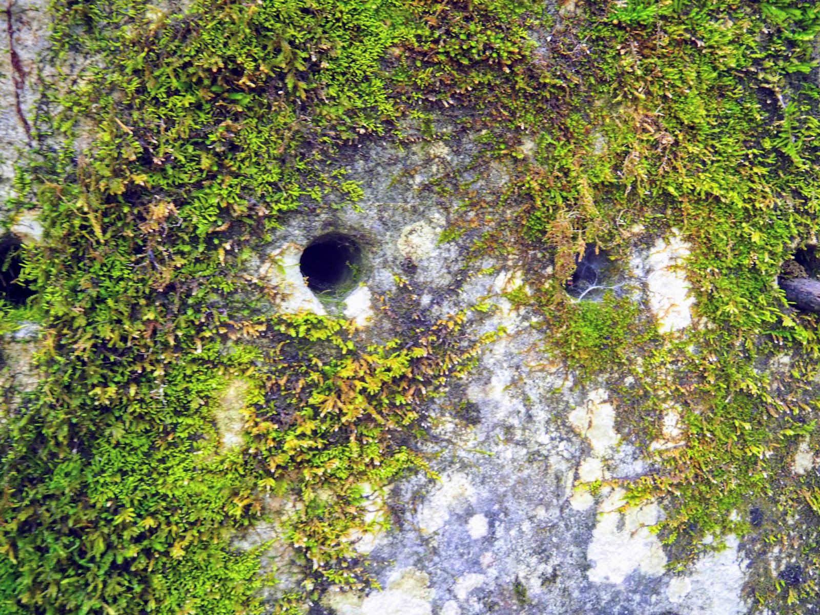 Spencer, IN McCormick's Creek State Park, Old State House Quarry