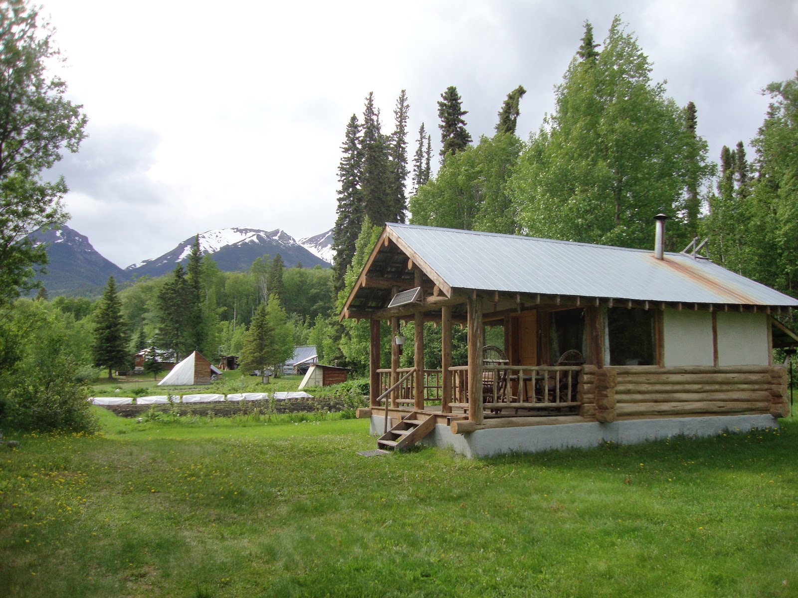 A Tangled b Telegraph Creek