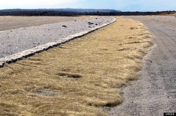 Pele's hair is a form of lava