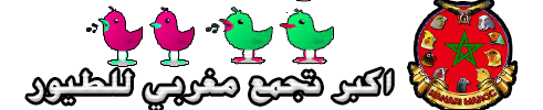 اكبرتجمع مغربي للطيور