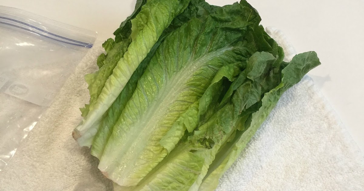 Quick Tip Make Lettuce Last Longer Organizing Made Fun Quick Tip Make Lettuce Last Longer