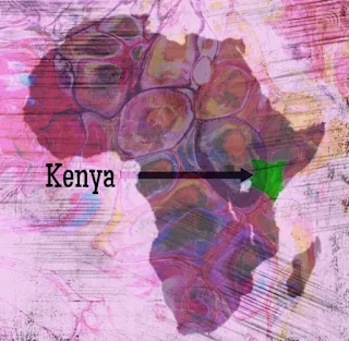 Kenya is in Eastern Africa, bordering the Indian Ocean, between Somalia and Tanzania.