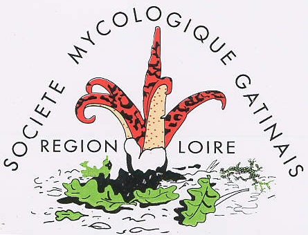 La Société Mycologique du Gâtinais