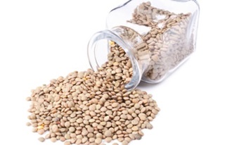 fakes-lentil fakes-lentil