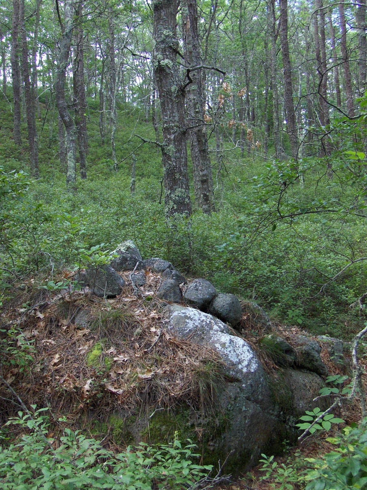 Rock Piles Revisiting another kettle hole