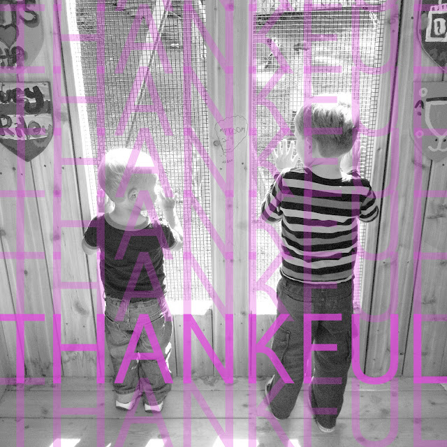 Thankful grateful gratitude
