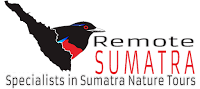 Remote Sumatra