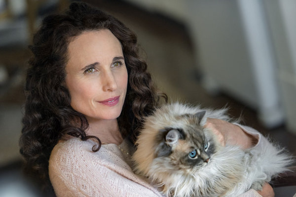  At Home in Mitford : Andie MacDowell;Cameron Mathison, None:  Movies & TV