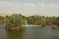De Hula Vallei, Natuur, Foto's, Israel, Reizen