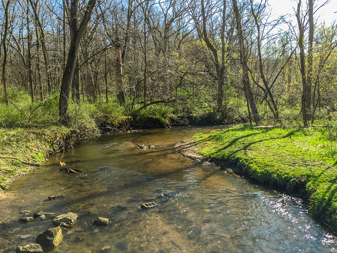 Hiking the Ice Age Trail Arbor Ridge Segment
