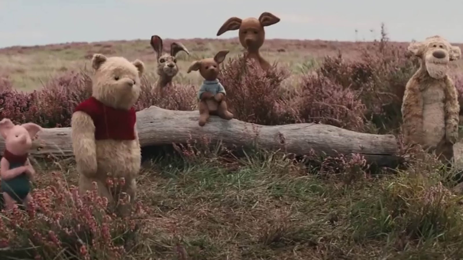 Christopher Robin 2018 HD Wallpapers 1080p