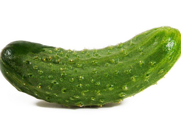 Enfiar o pénis na cortadora de pickles... Enfiar o pénis na cortadora de pickles...